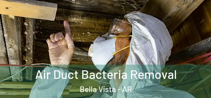  Air Duct Bacteria Removal Bella Vista - AR
