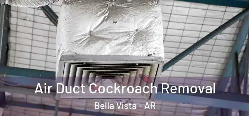  Air Duct Cockroach Removal Bella Vista - AR