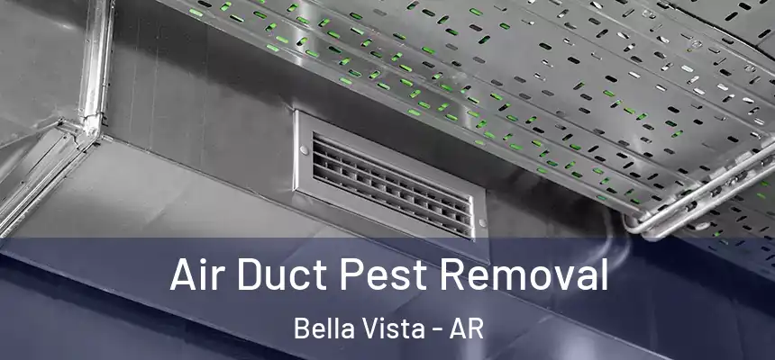 Air Duct Pest Removal Bella Vista - AR