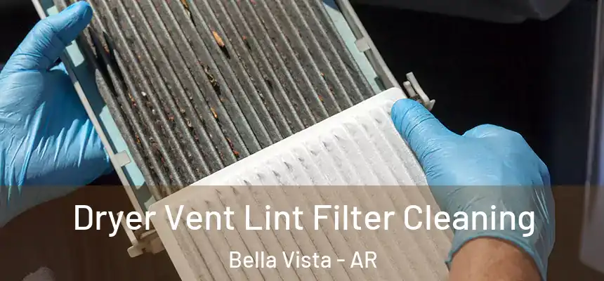 Dryer Vent Lint Filter Cleaning Bella Vista - AR