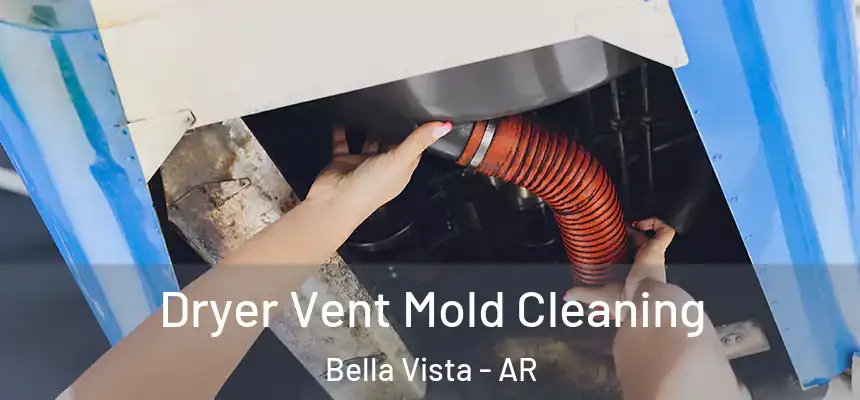 Dryer Vent Mold Cleaning Bella Vista - AR