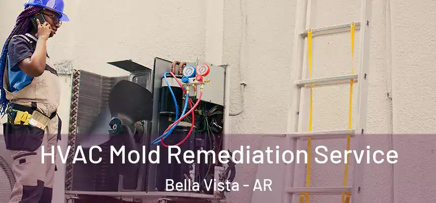  HVAC Mold Remediation Service Bella Vista - AR