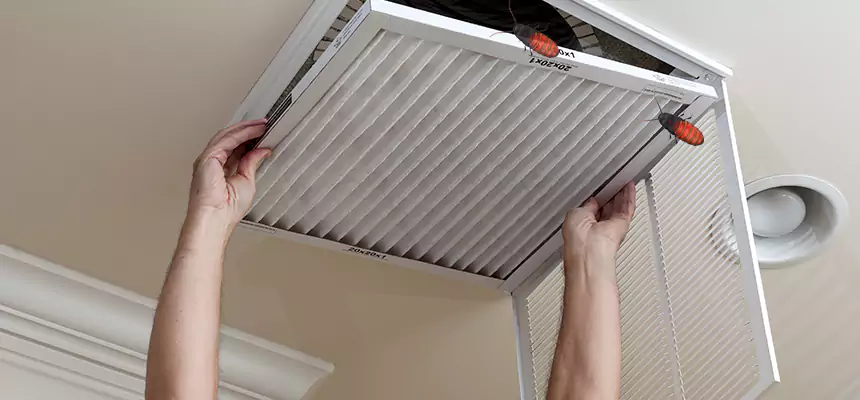 Preventive Cockroach-Proofing for Ducts in Bella Vista