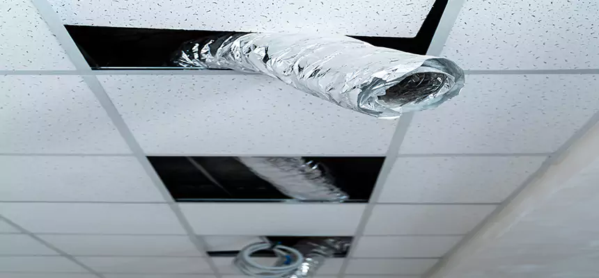 Our Air Duct Pet Hair Removal Services in Bella Vista, AR