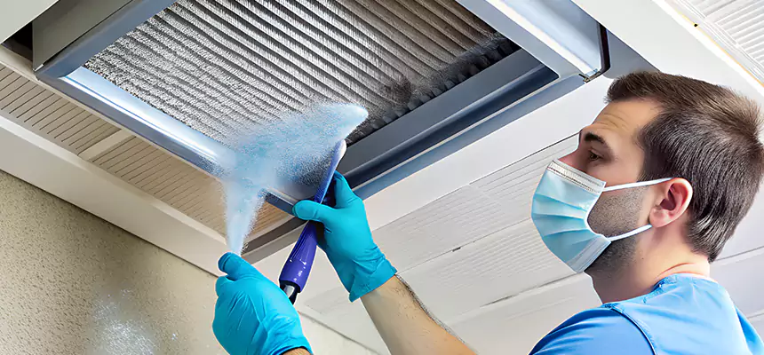 Proactive Dryer Vent & Auxiliary Duct Pollen Cleanup in Bella Vista, AR