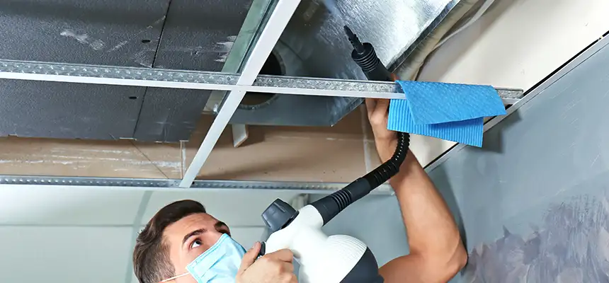 Our Air Duct Rodent Removal Services in Bella Vista, AR