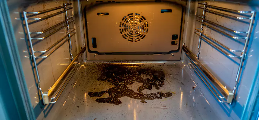 Our Dryer Vent Mold Cleaning Services in Bella Vista, AR