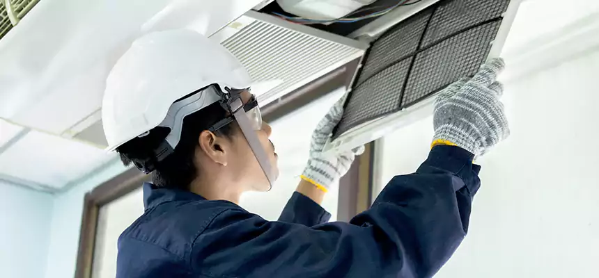 Our Mold & Mildew Removal from Air Ducts Services in Bella Vista, AR