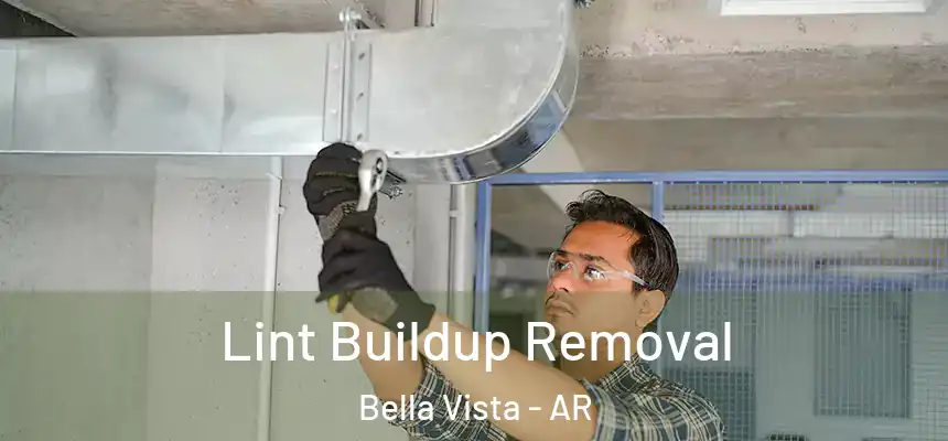 Lint Buildup Removal Bella Vista - AR