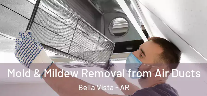 Mold & Mildew Removal from Air Ducts Bella Vista - AR