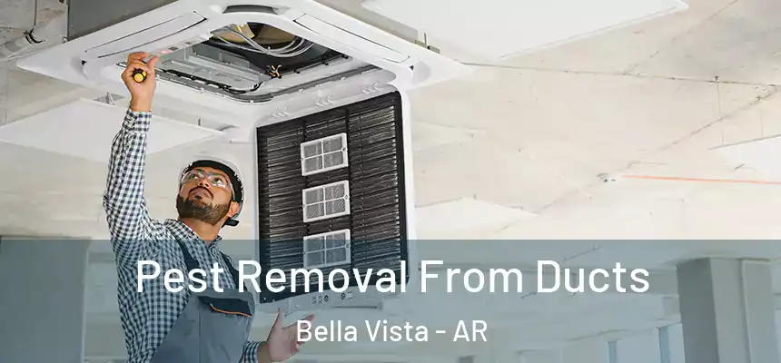  Pest Removal From Ducts Bella Vista - AR