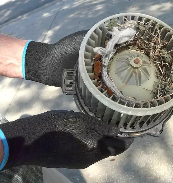 About Air Duct Mice Removal in Bella Vista, AR