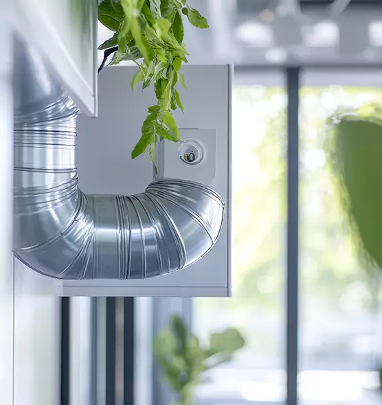 Professional Eco-Safe Dryer Vent Cleaning in Bella Vista, AR