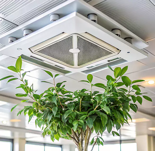 Why Homeowners & Businesses Trust Us in Bella Vista, AR